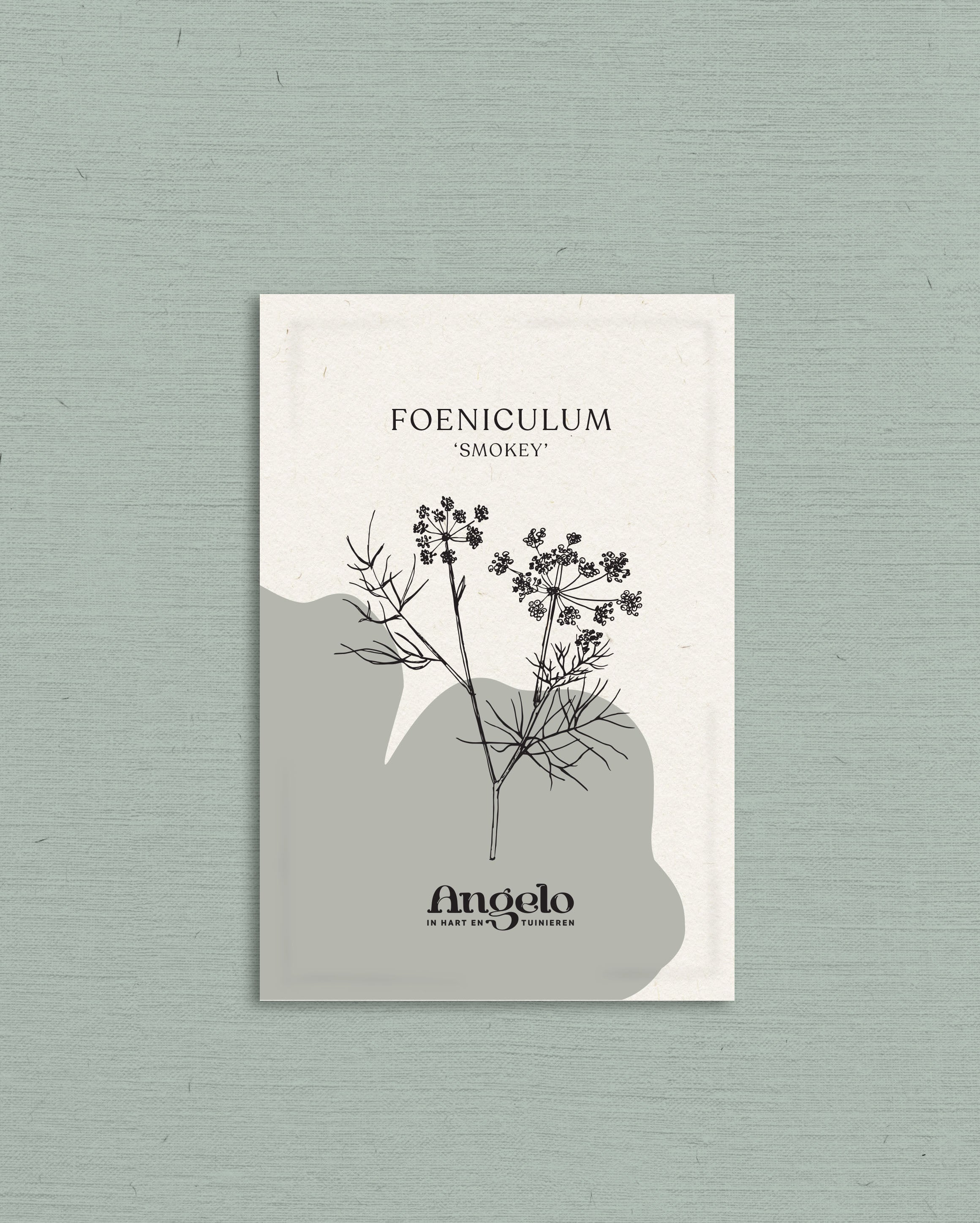 Foeniculum vulgare &