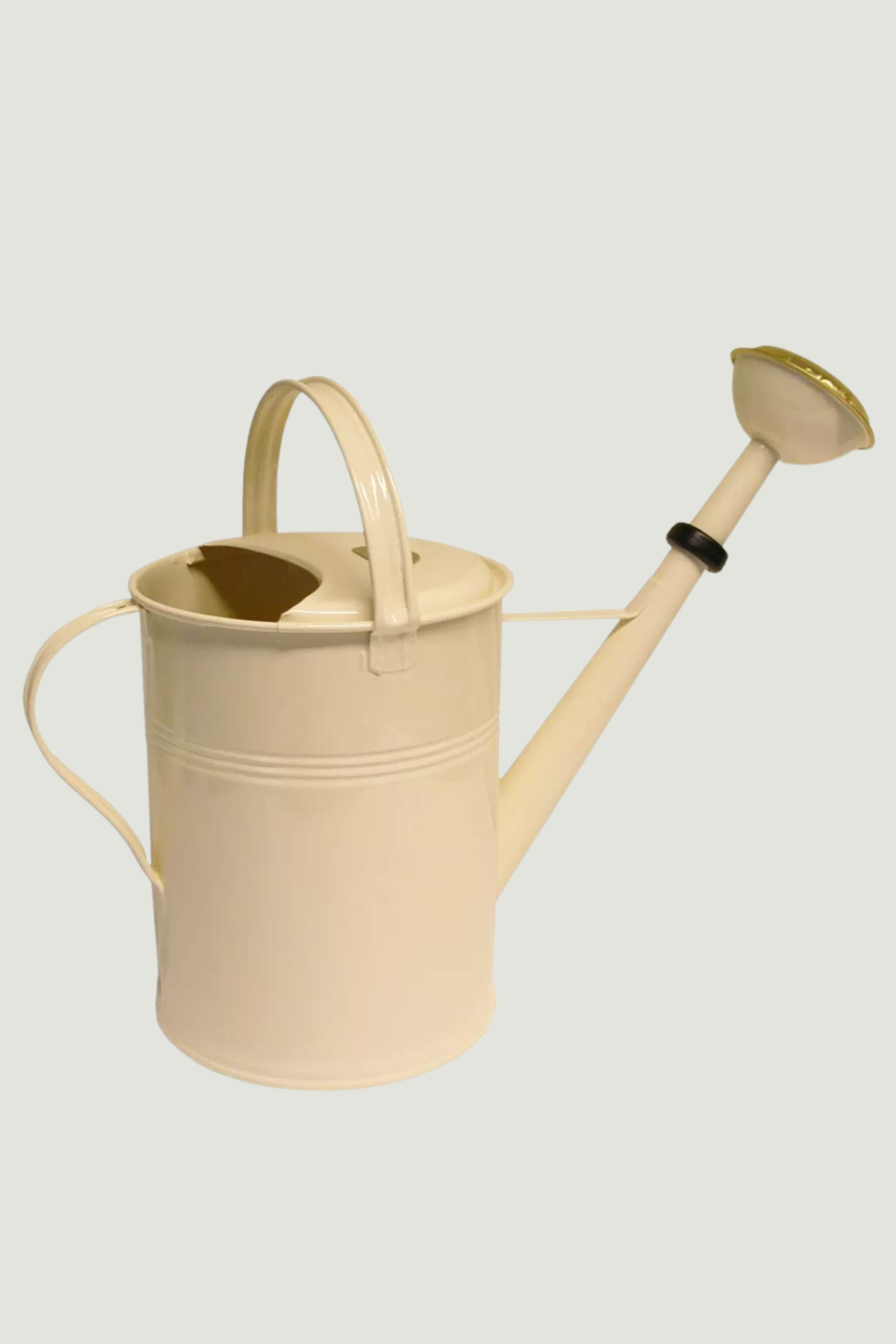 Gieter zink - 9 liter-Angelo
