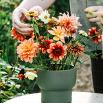 Hanataba - bloemenprikker-Angelo