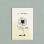 Helianthus annuus 'Pro Lemon Bi-Colour'-Angelo