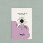 Helianthus 'pro cut red'-Angelo