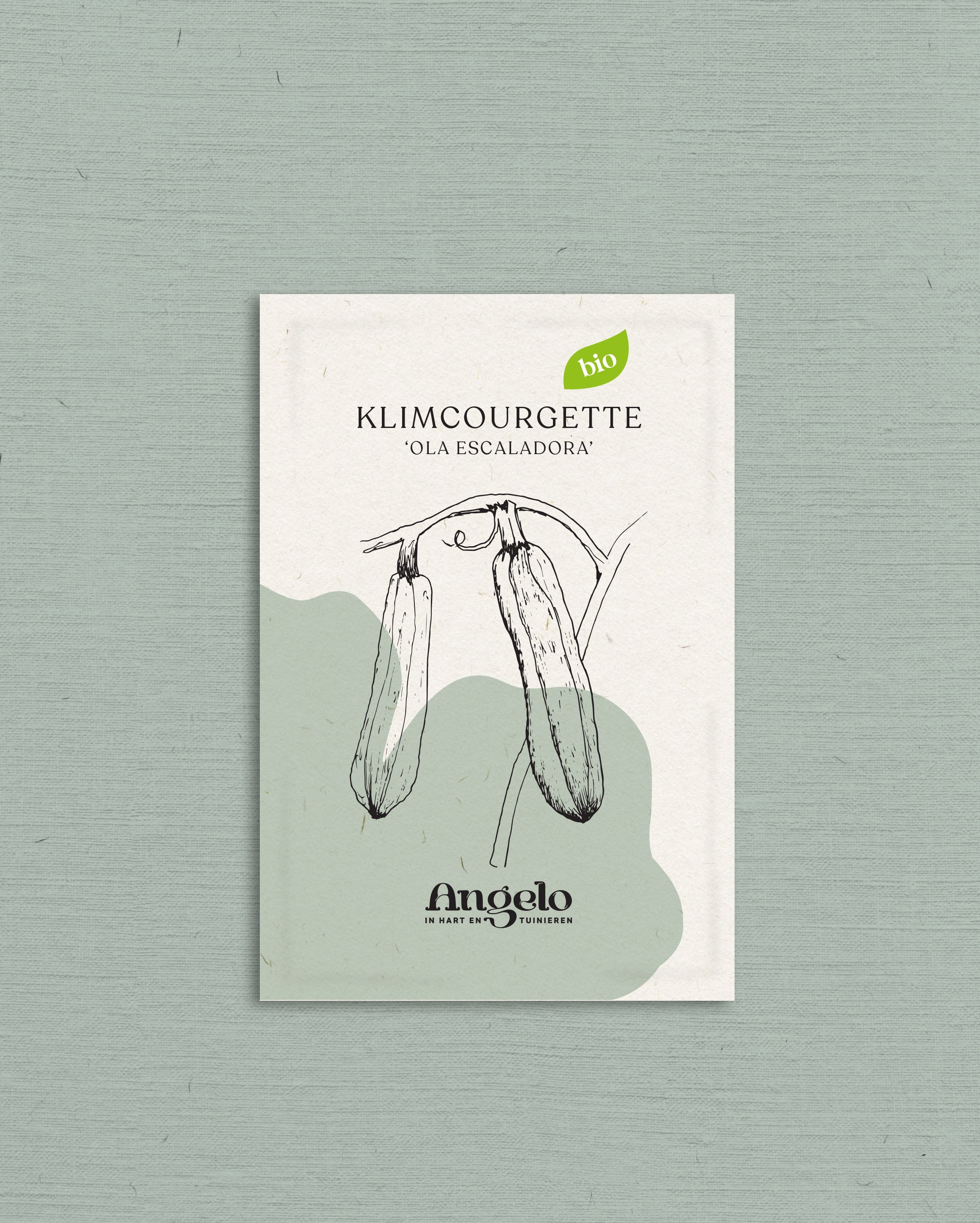 Klimcourgette &