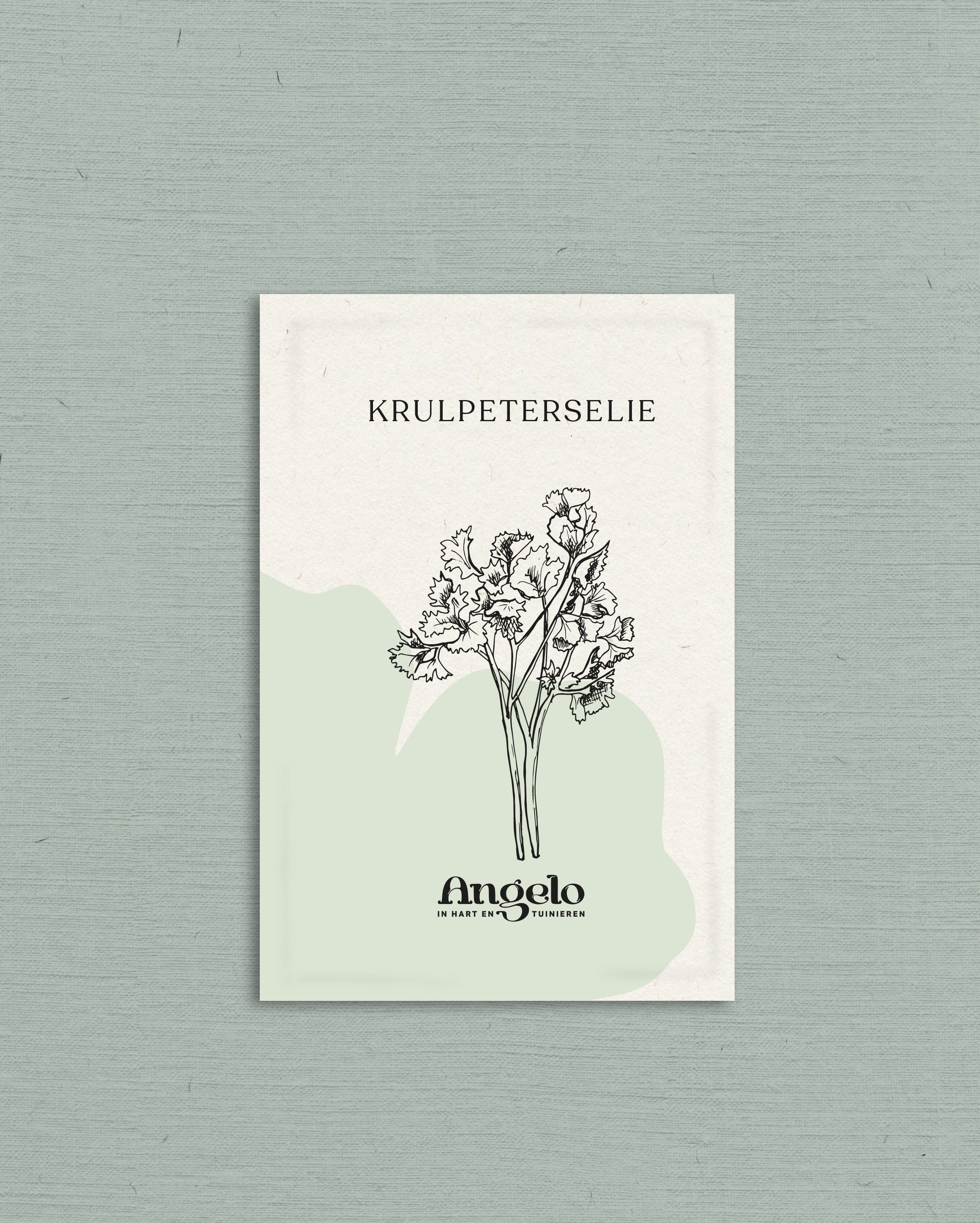 Krulpeterselie-Angelo