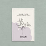 Lathyrus odoratus 'Spencer Wiltshire Ripple'-Angelo