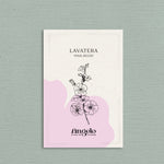 Lavatera trimestris 'pink regis'-Angelo