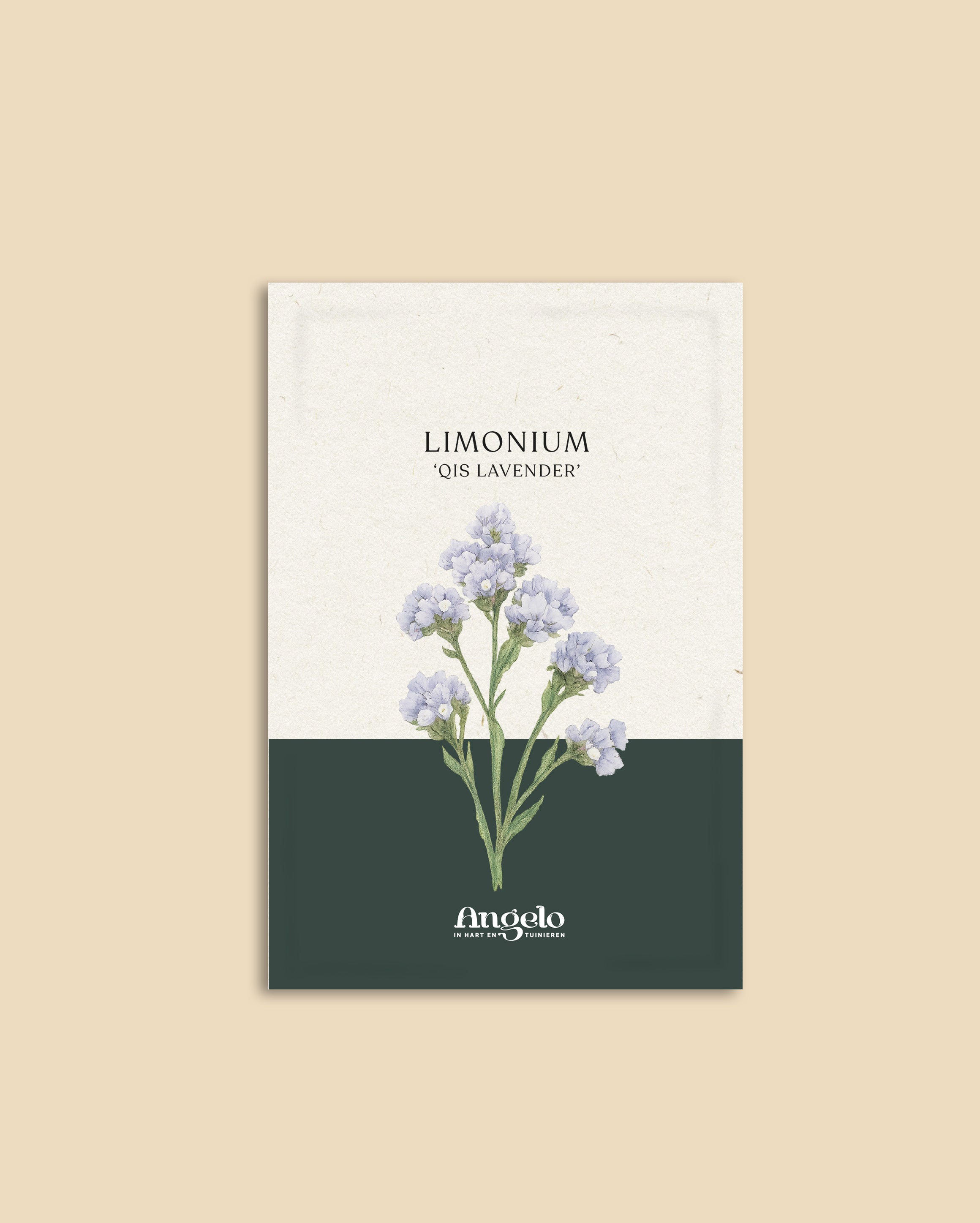Limonium sinatum 'qis lavender'-Angelo