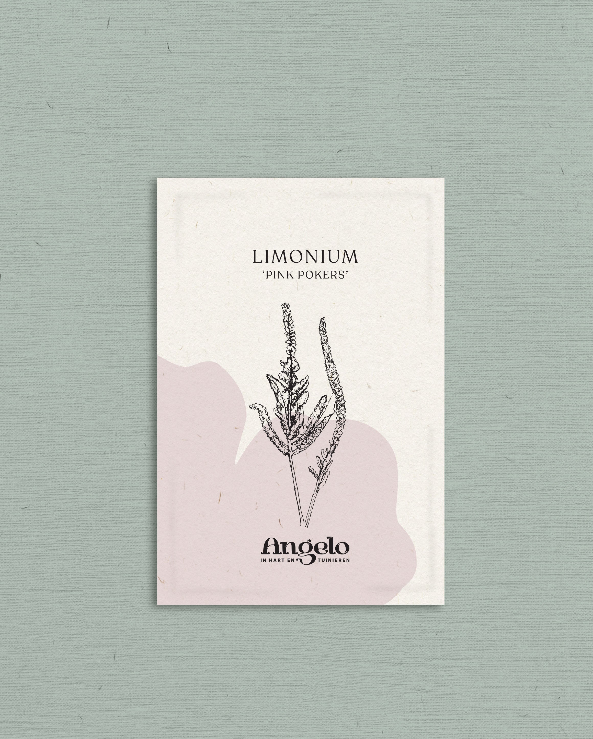 Limonium suworowii &
