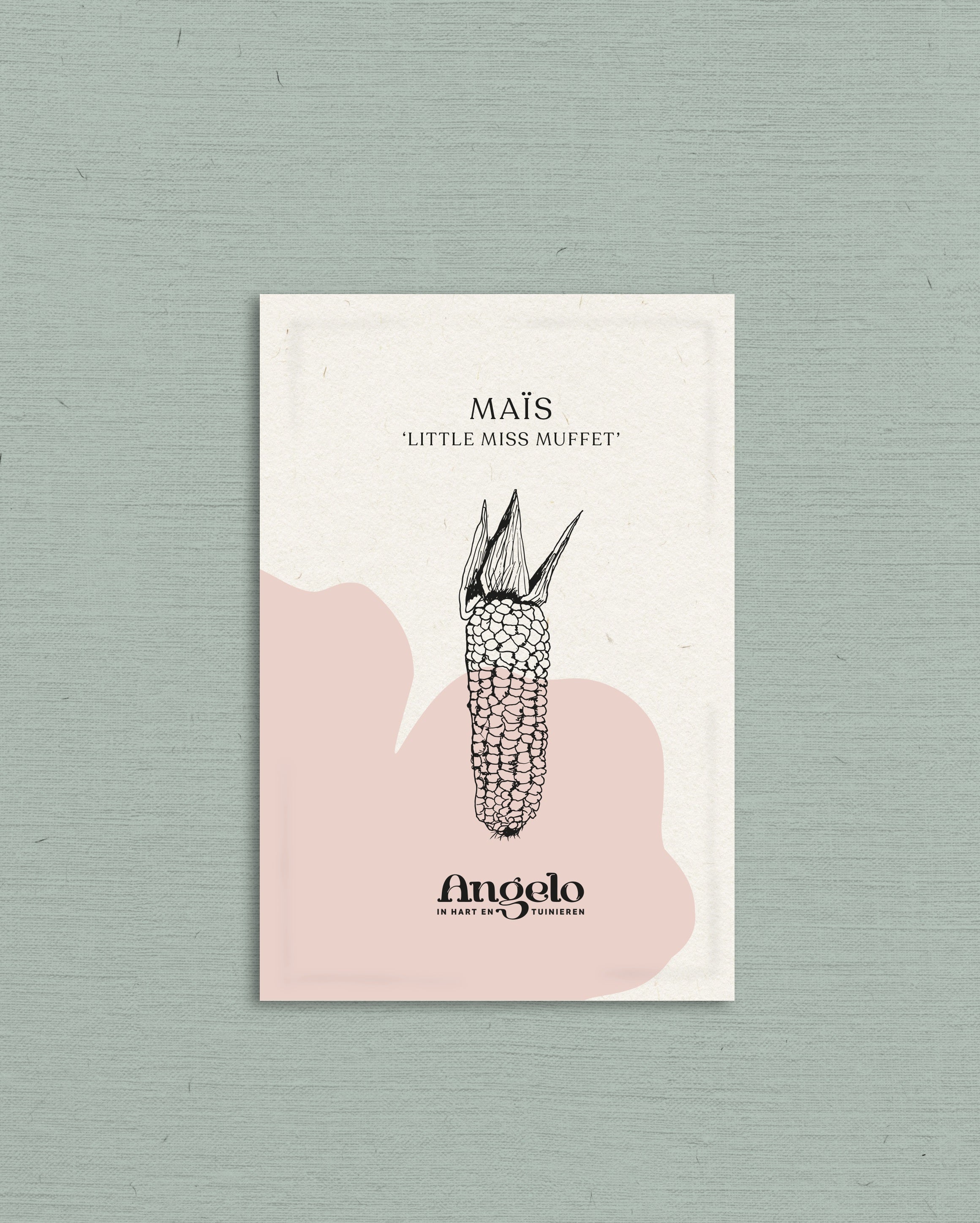 Maïs 'Little Miss Muffet'-Angelo