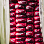 Maïs 'Little Miss Muffet'-Angelo