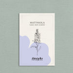 Matthiola incana 'early iron marine'-Angelo