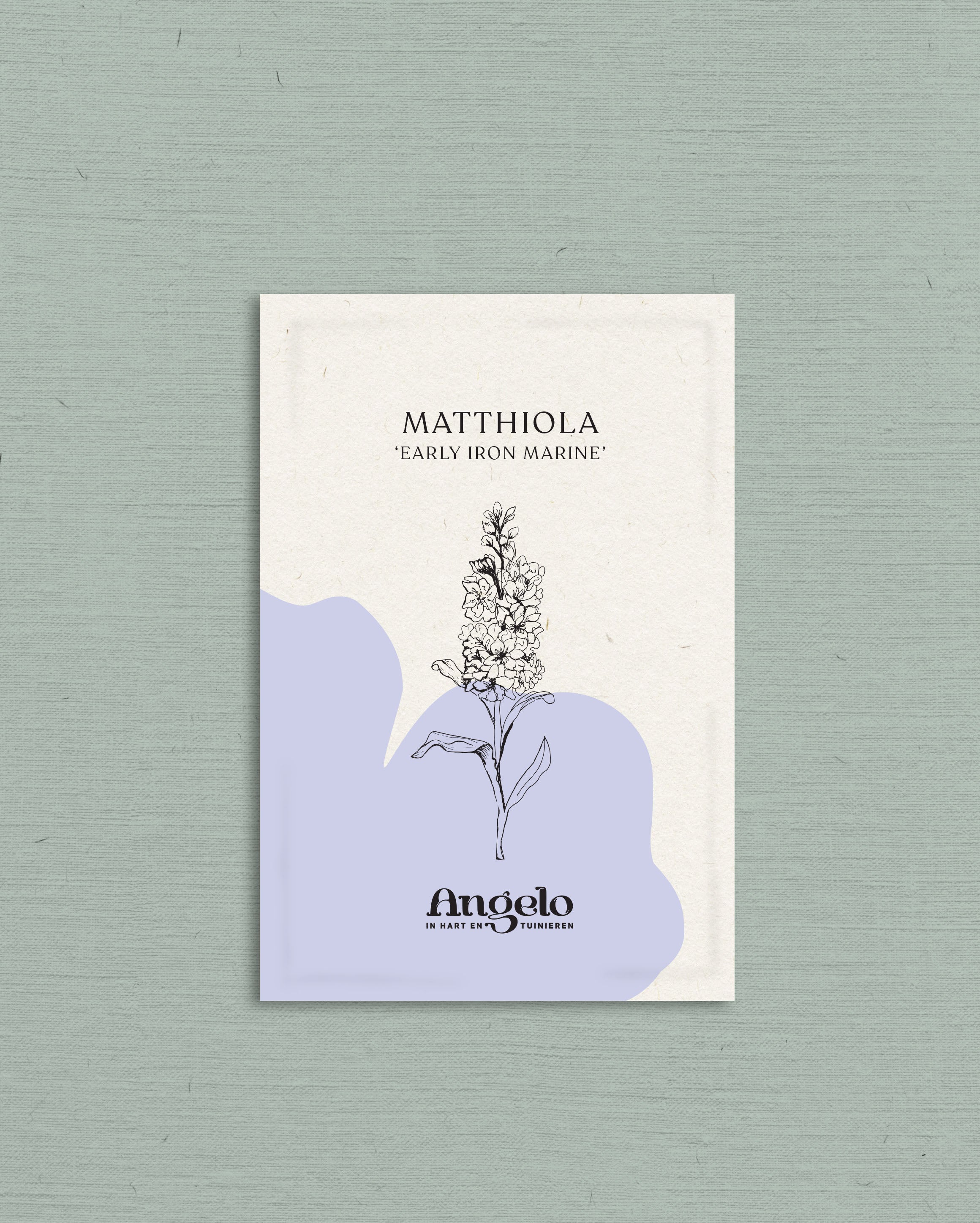 Matthiola incana 'early iron marine'-Angelo