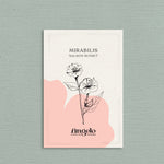 Mirabilis jalapa 'Salmon Sunset'-Angelo