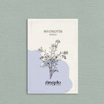 Myosotis alpestris 'mixed'-Angelo