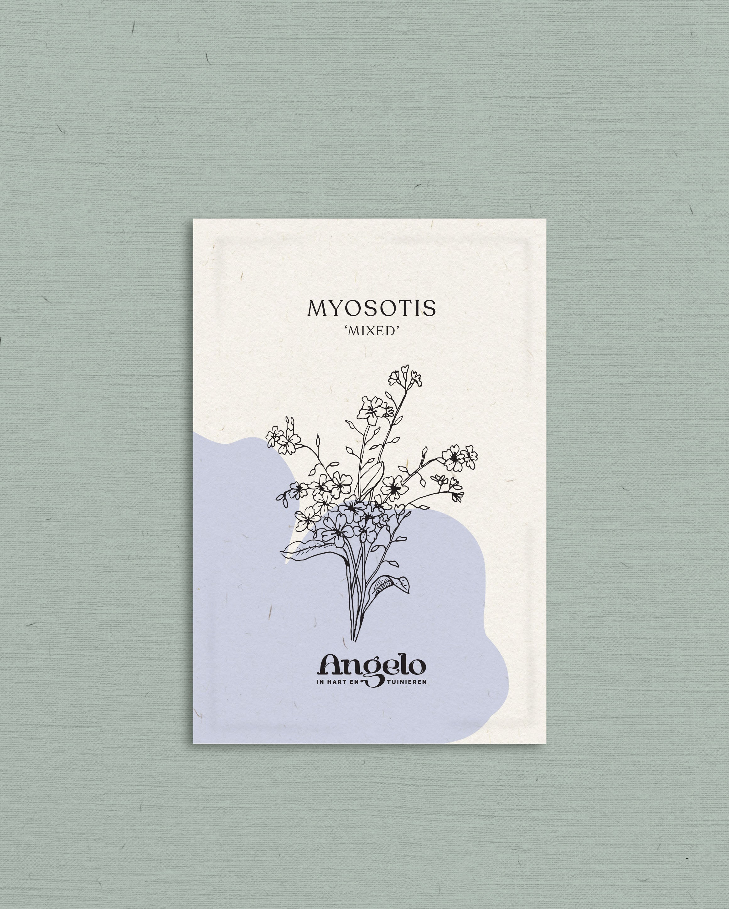 Myosotis alpestris 'mixed'-Angelo
