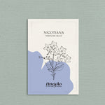 Nicotiana 'perfume blue'-Angelo