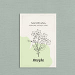 Nicotiana sanderae 'perfume antique lime'-Angelo