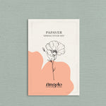 Papaver nudicaule 'spring fever mix'-Angelo