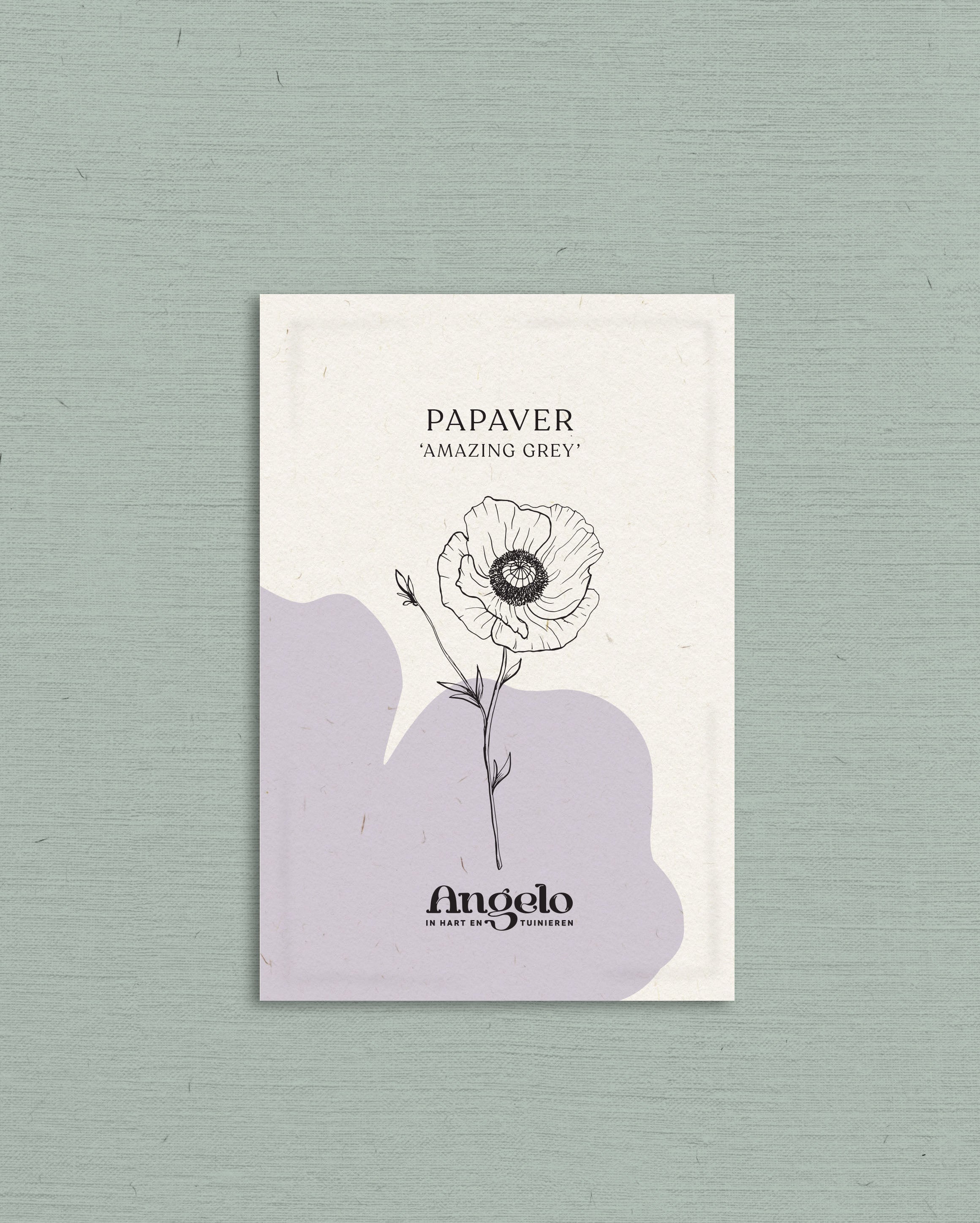 Papaver rhoeas 'Amazing Grey'-Angelo