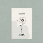 Papaver rhoeas 'Bridal Silk'-Angelo