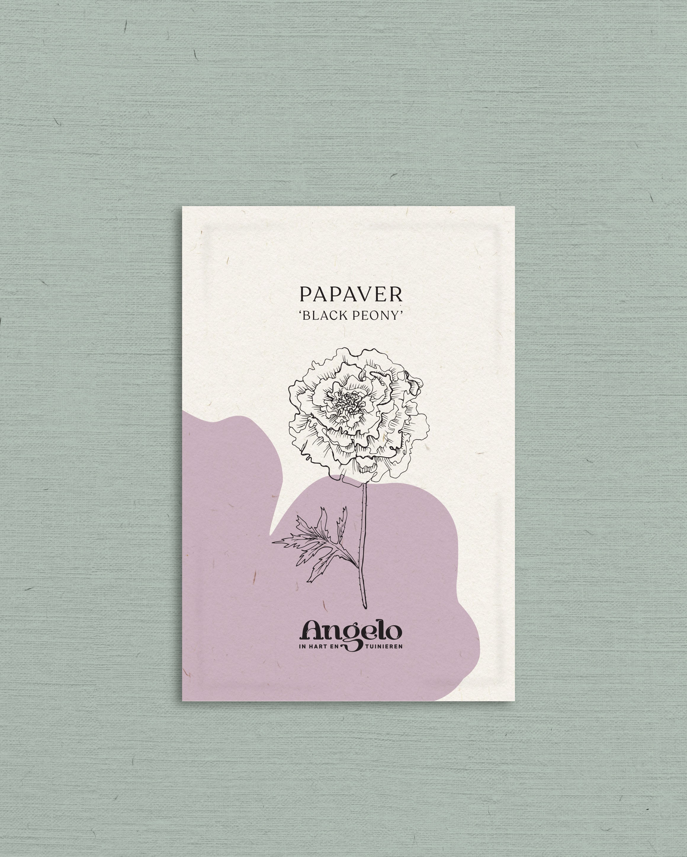 Papaver somniferum 'Black Peony'-Angelo