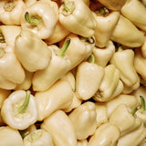 Paprika 'White Bell'-Angelo