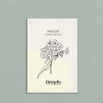 Phlox drummondii 'Crème Brûlée'-Angelo