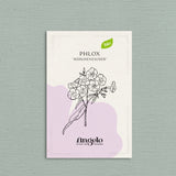 Phlox drummondii 'Märchenzauber'-Angelo
