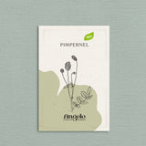 Pimpernel-Angelo