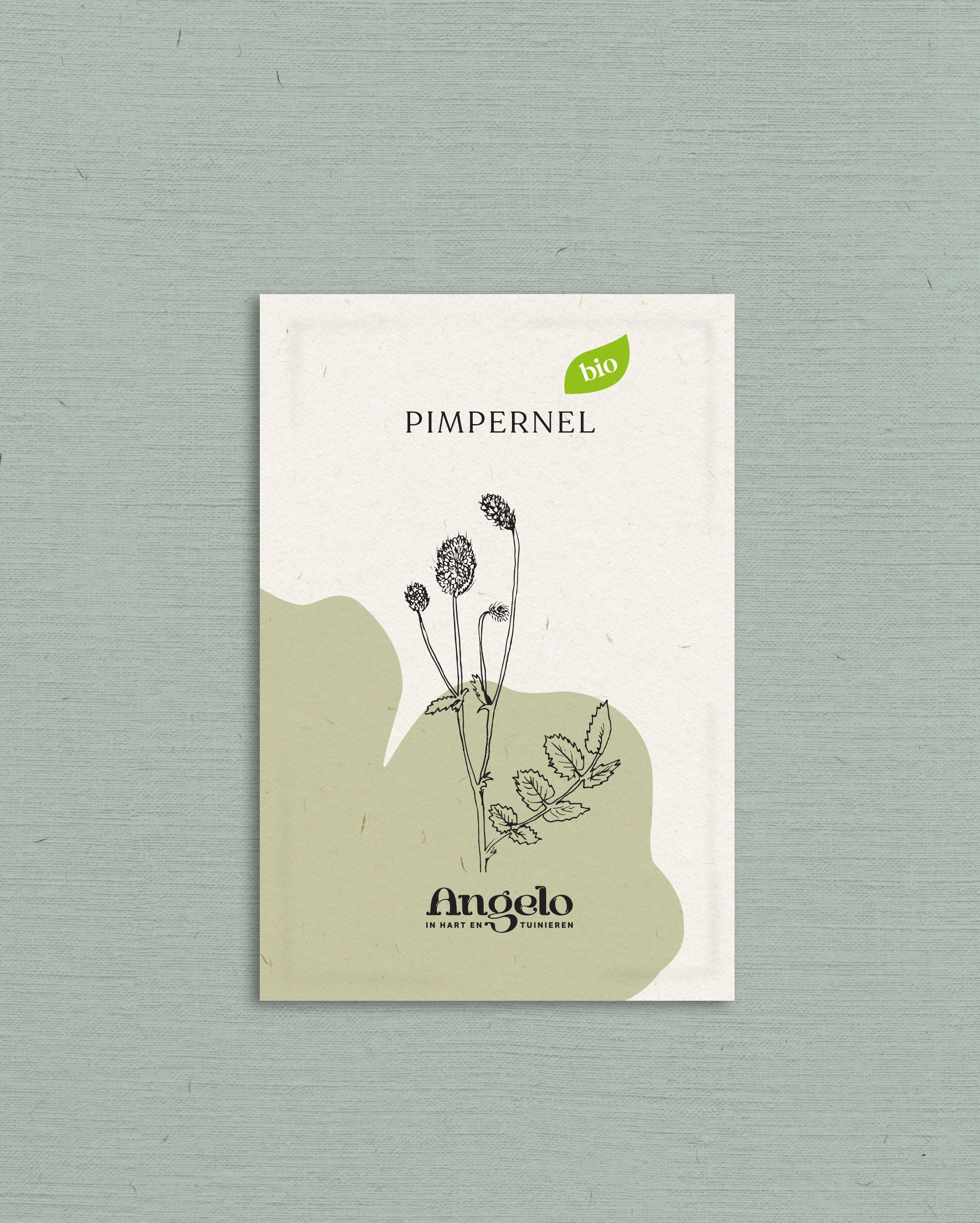 Pimpernel-Angelo