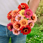 Plukpakket: Boeketje biologisch-Angelo