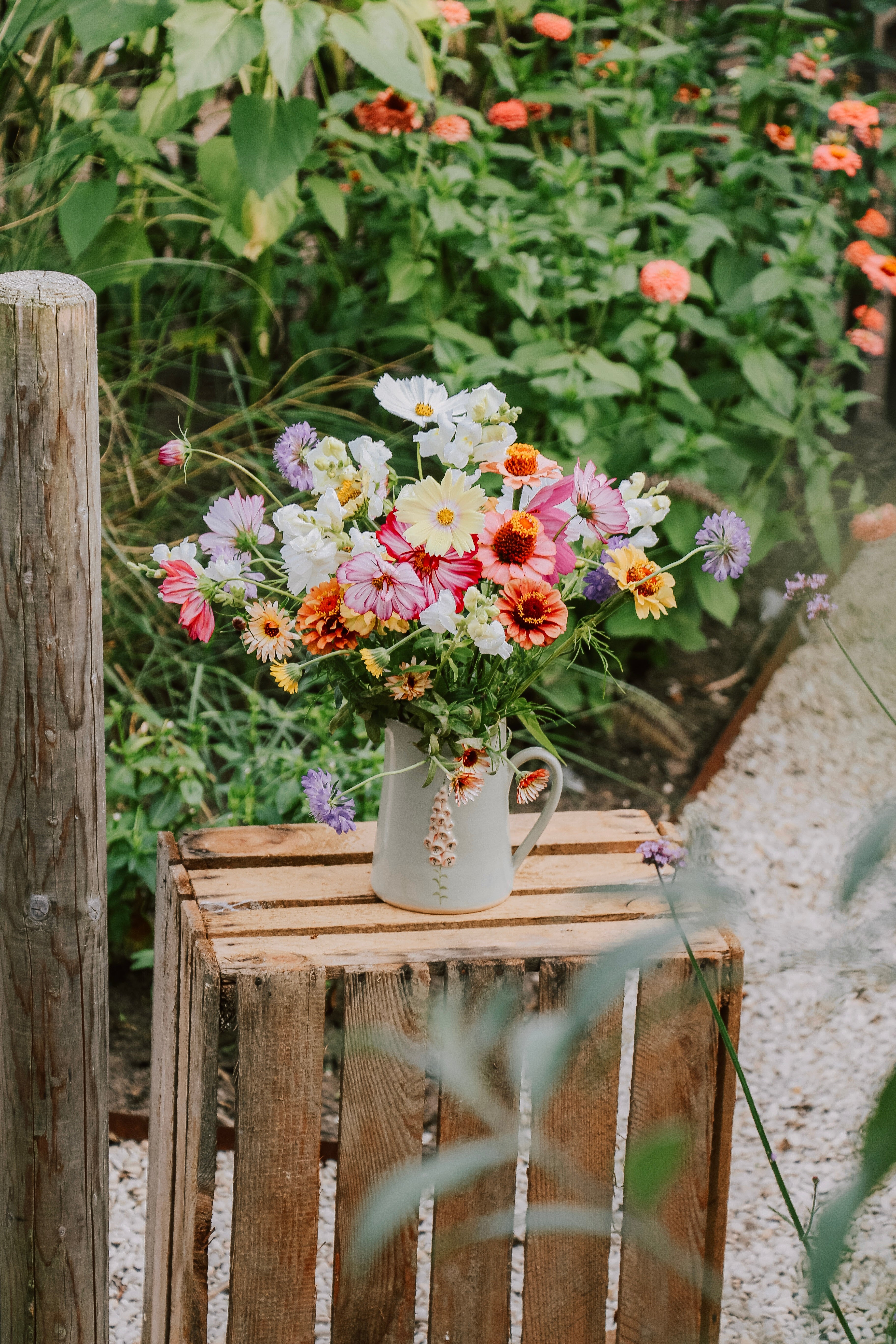 Plukpakket: Boeketje biologisch-Angelo