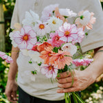 Plukpakket: Cosmos-Angelo