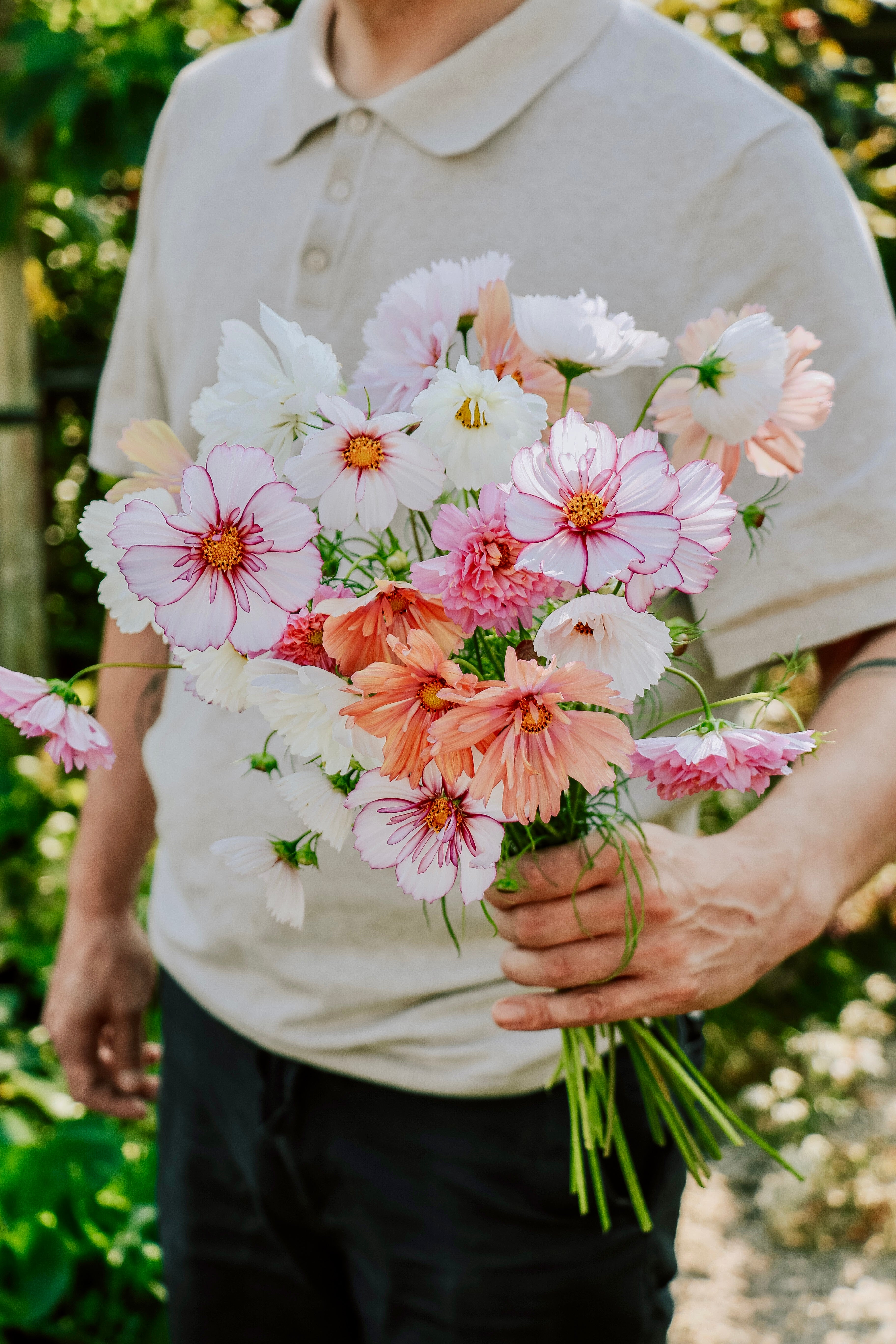 Plukpakket: Cosmos-Angelo