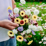 Plukpakket: Honey Dew-Angelo