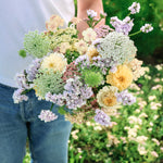 Plukpakket: Pastel Lace-Angelo