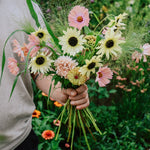 Plukpakket: Sweet Sorbet-Angelo