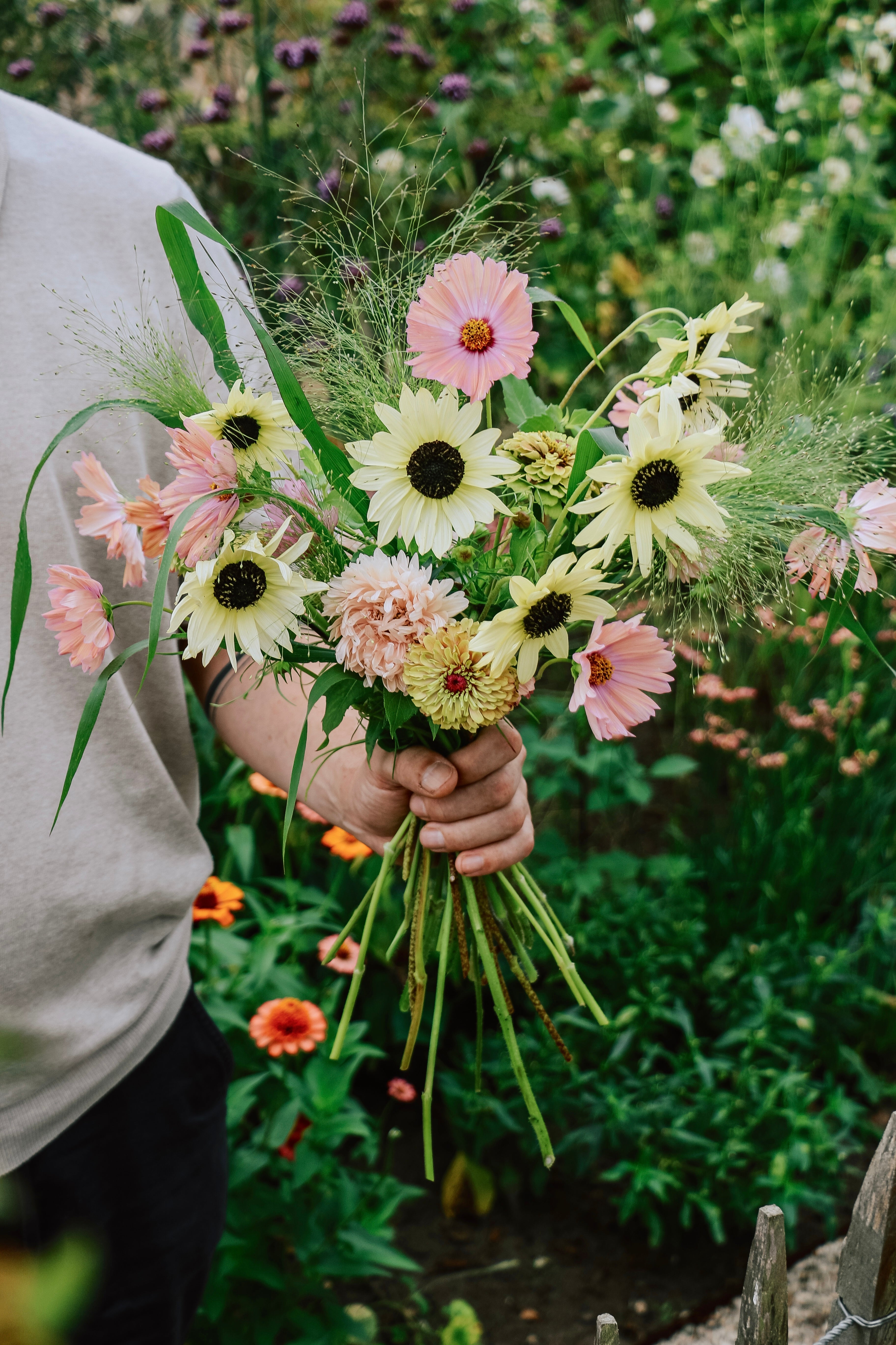 Plukpakket: Sweet Sorbet-Angelo