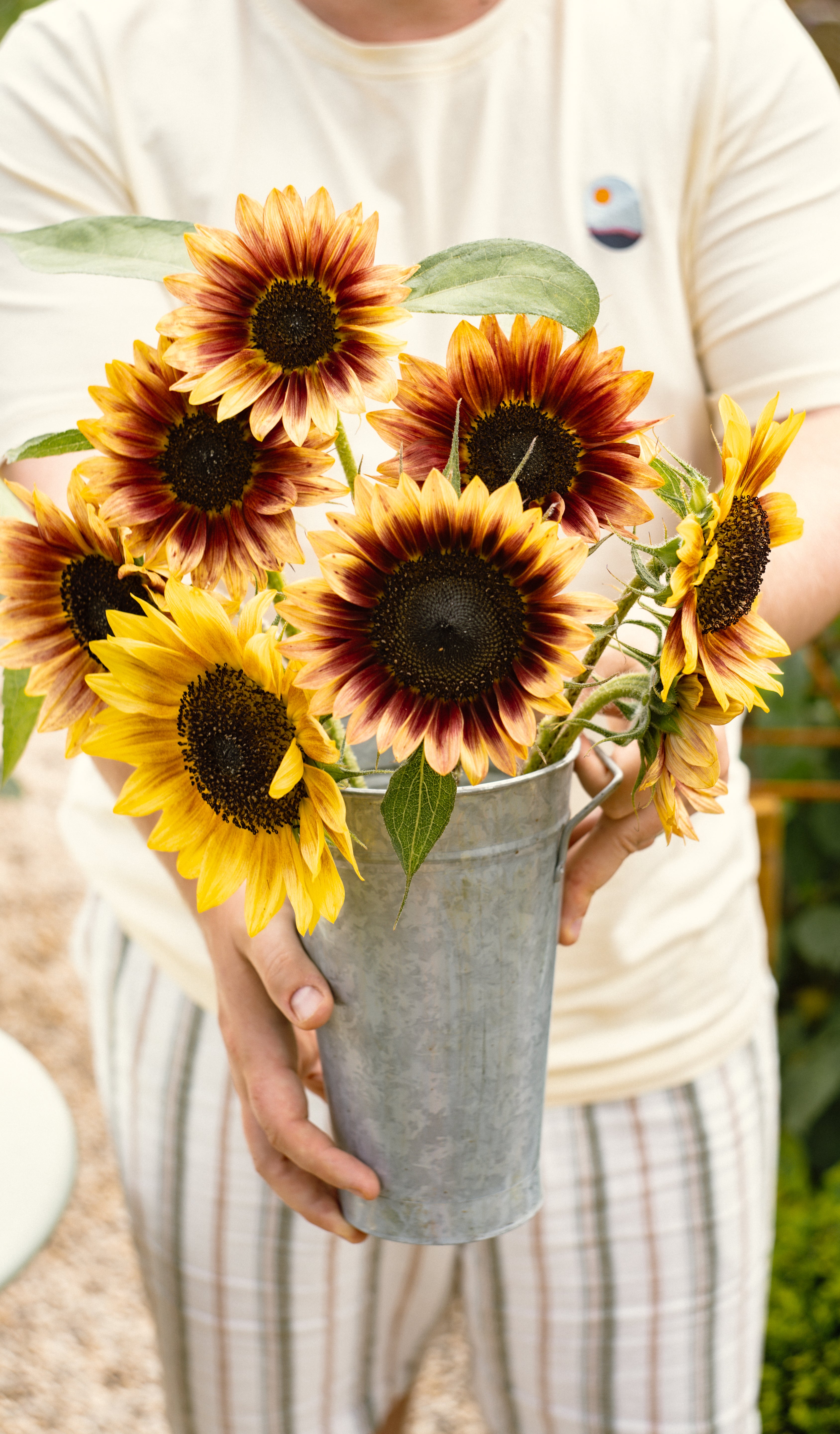 Plukpakket: Zonnebloem-Angelo