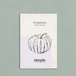 Pompoen 'Futsu Black'-Angelo