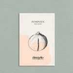 Pompoen 'Red Kuri'-Angelo