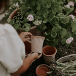 Pot Elizabeth-Angelo