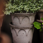 Pot Elizabeth-Angelo