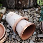 Pot Elizabeth-Angelo