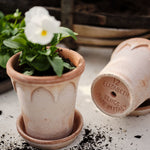 Pot Elizabeth-Angelo