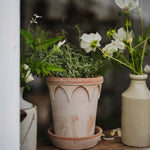 Pot Elizabeth-Angelo