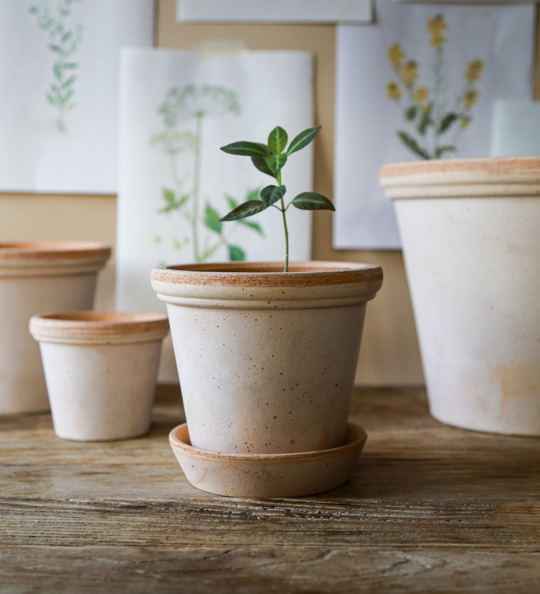 Pot Flora-Angelo