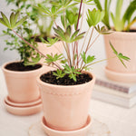 Pot Helena - roze-Angelo