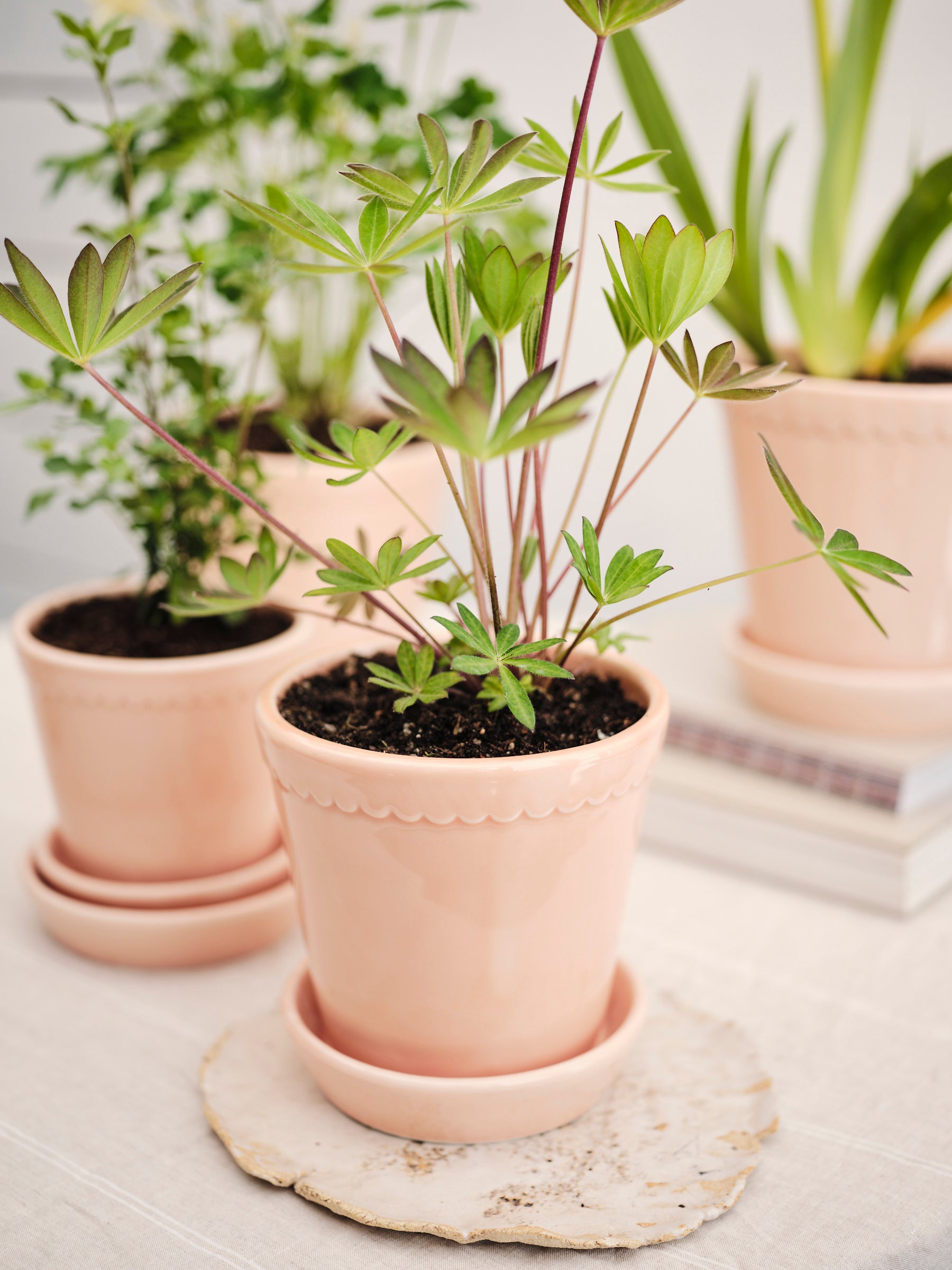 Pot Helena - roze-Angelo