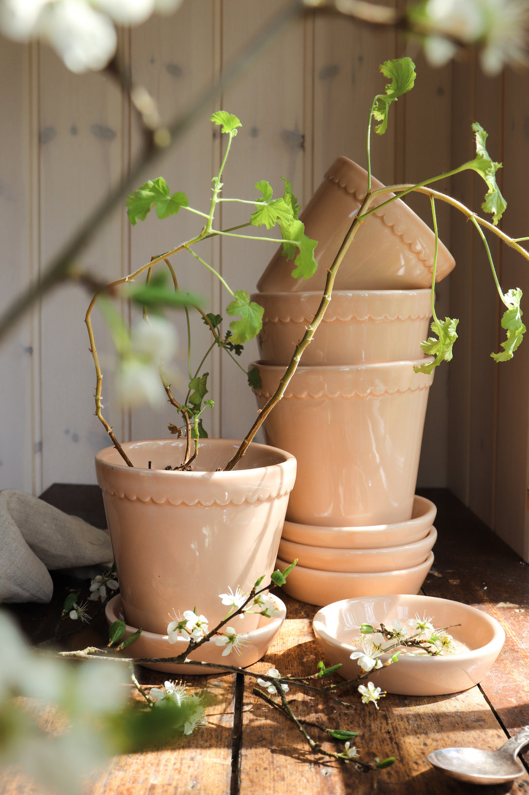 Pot Helena - roze-Angelo