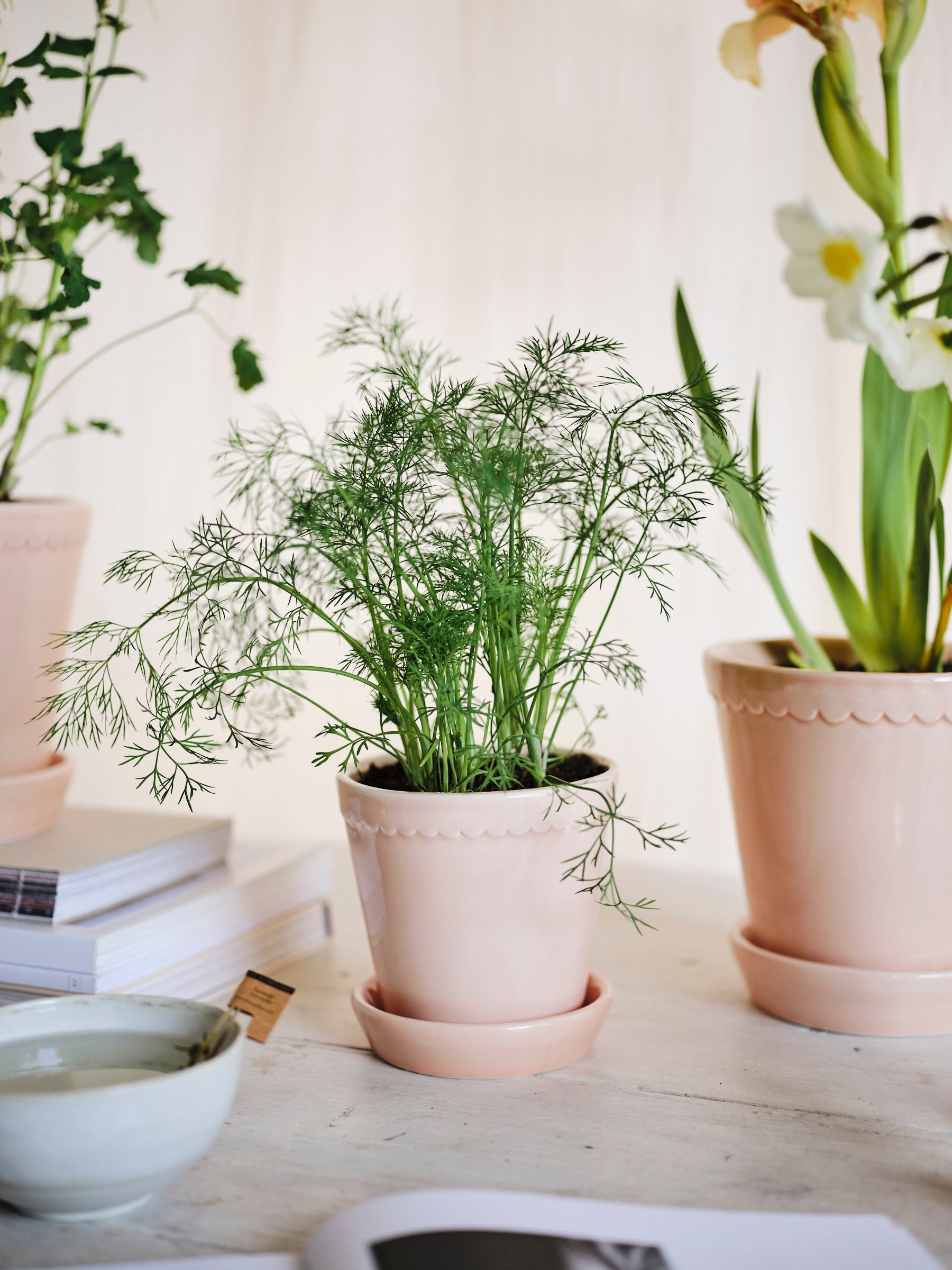 Pot Helena - roze-Angelo